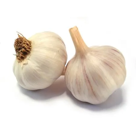 POOTGOED KNOFLOOK FLAVOR  500 G